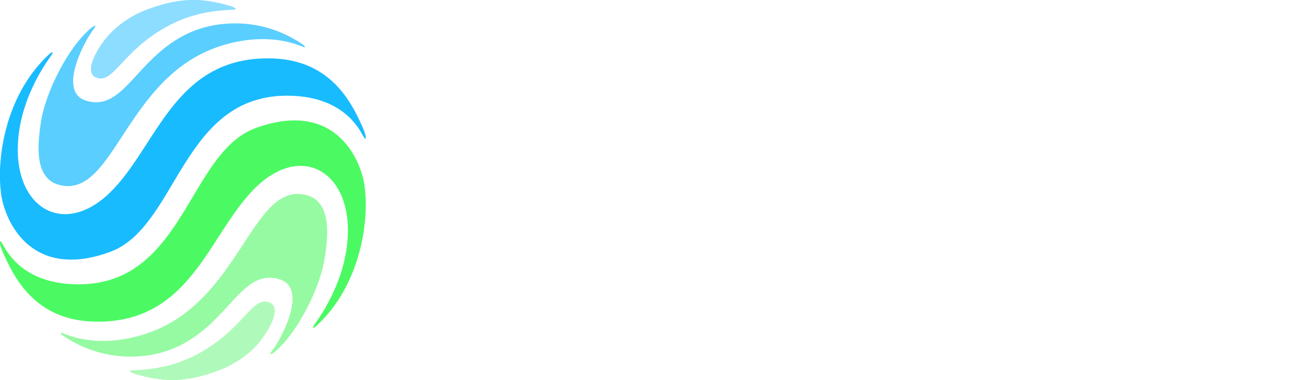 Global Enabling Sustainability Initiative (GeSI)